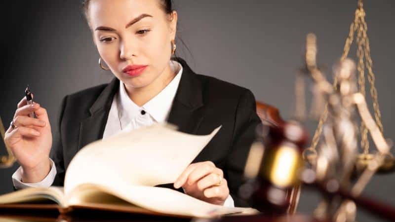 How Often Should Your Lawyer Update You