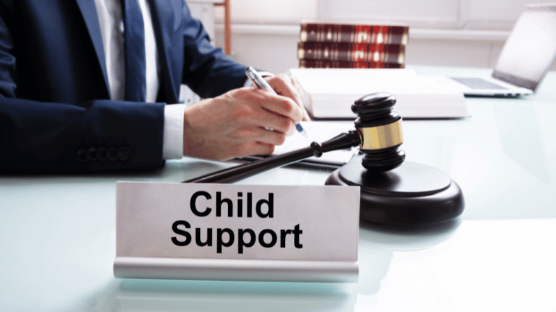 What Can Child Support Lawyer do