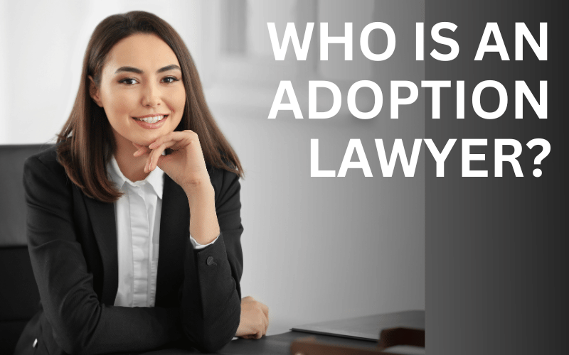 Adoption Lawyer