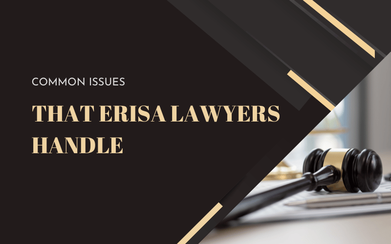 ERISA Lawyer