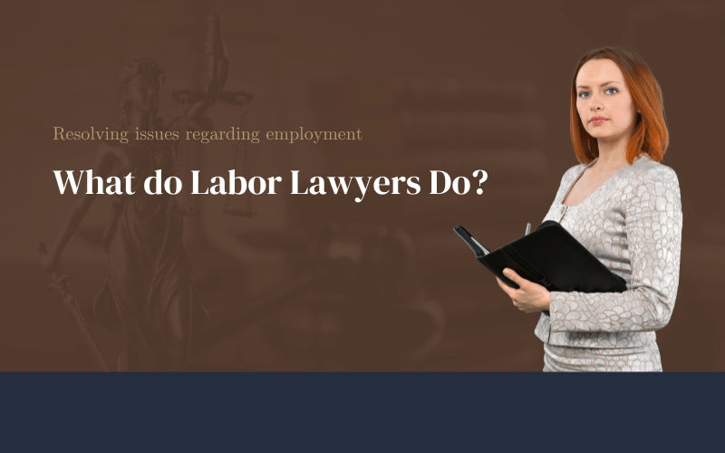 Labor Lawyer